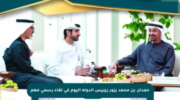 حمدان بن محمد يزور رئيس الدولة اليوم في لقاء رسمي مهم